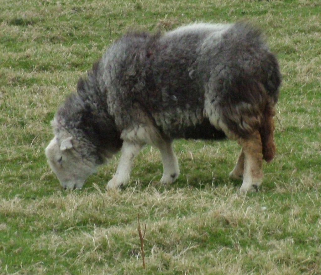 Click now to see this image full size.