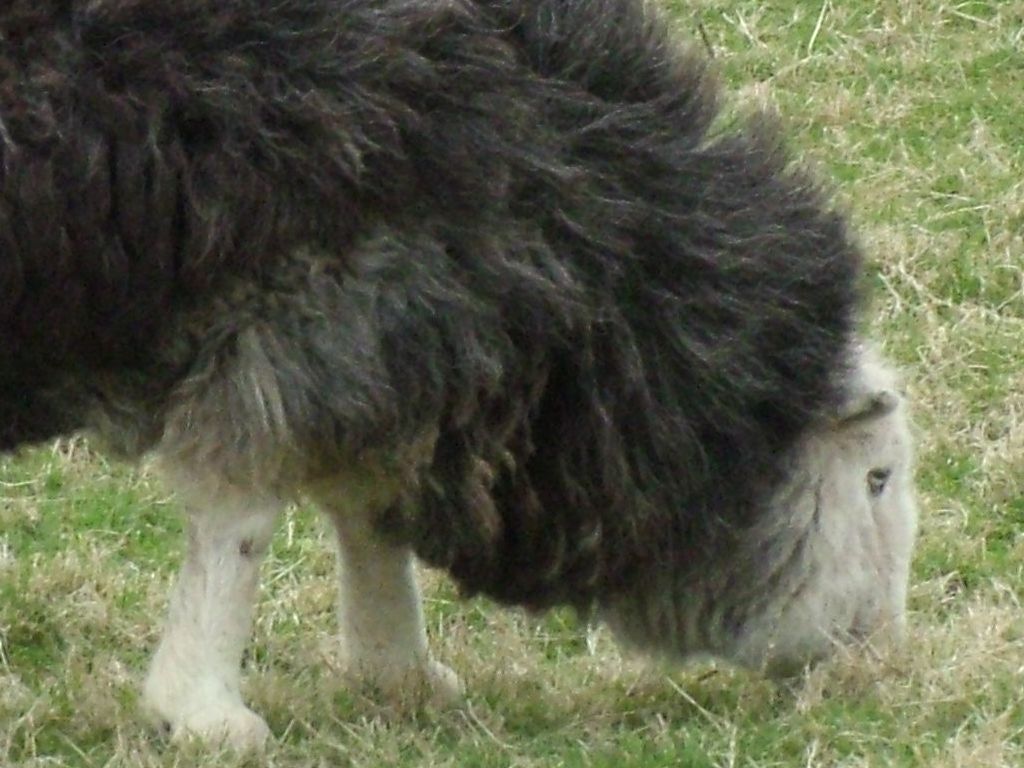 Click now to see this image full size.