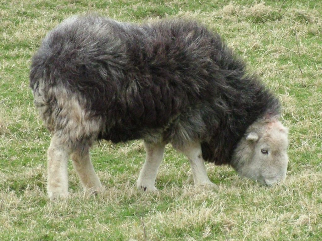 Click now to see this image full size.