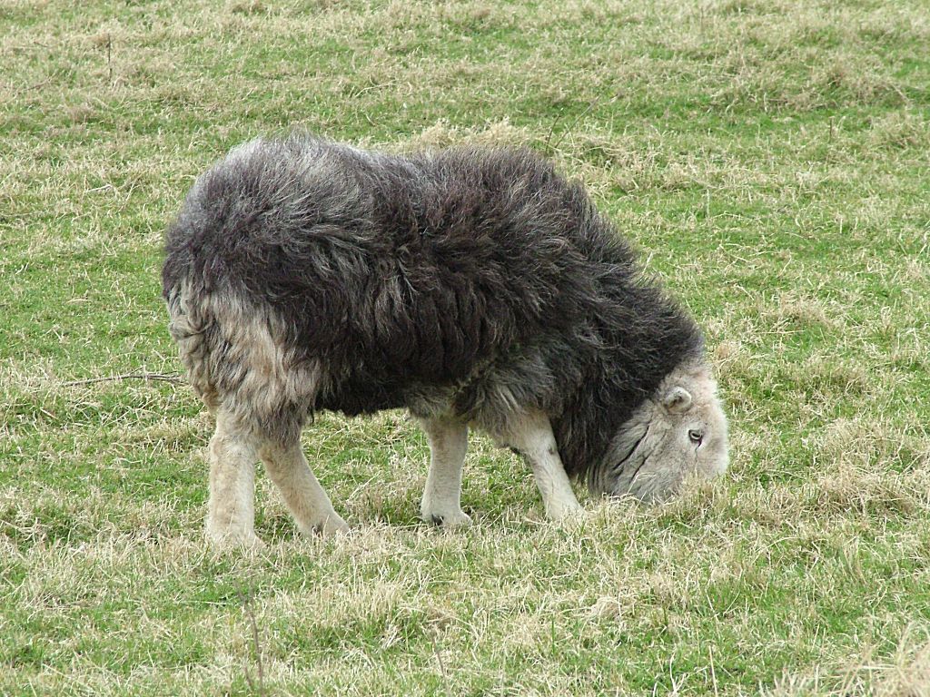 Click now to see this image full size.