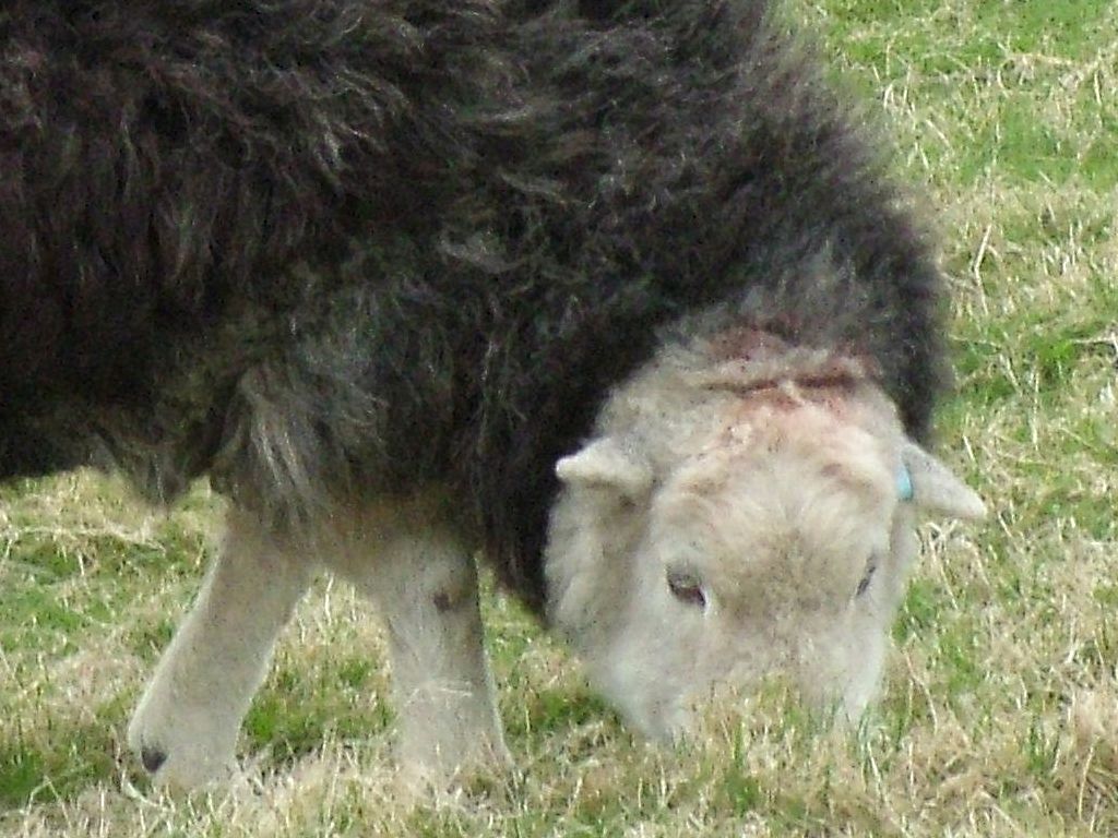 Click now to see this image full size.