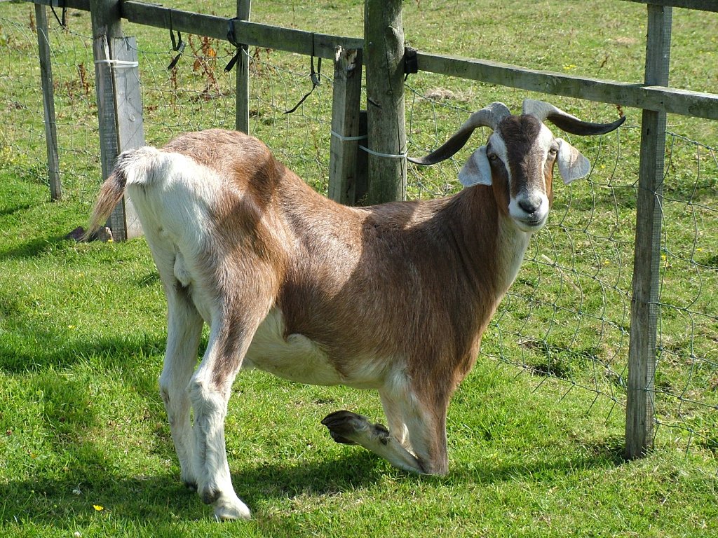 Click now to see this image full size.