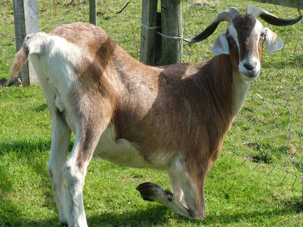 Click now to see this image full size.