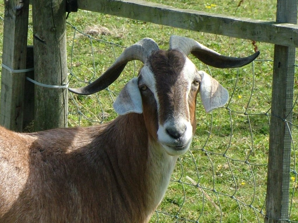 Click now to see this image full size.