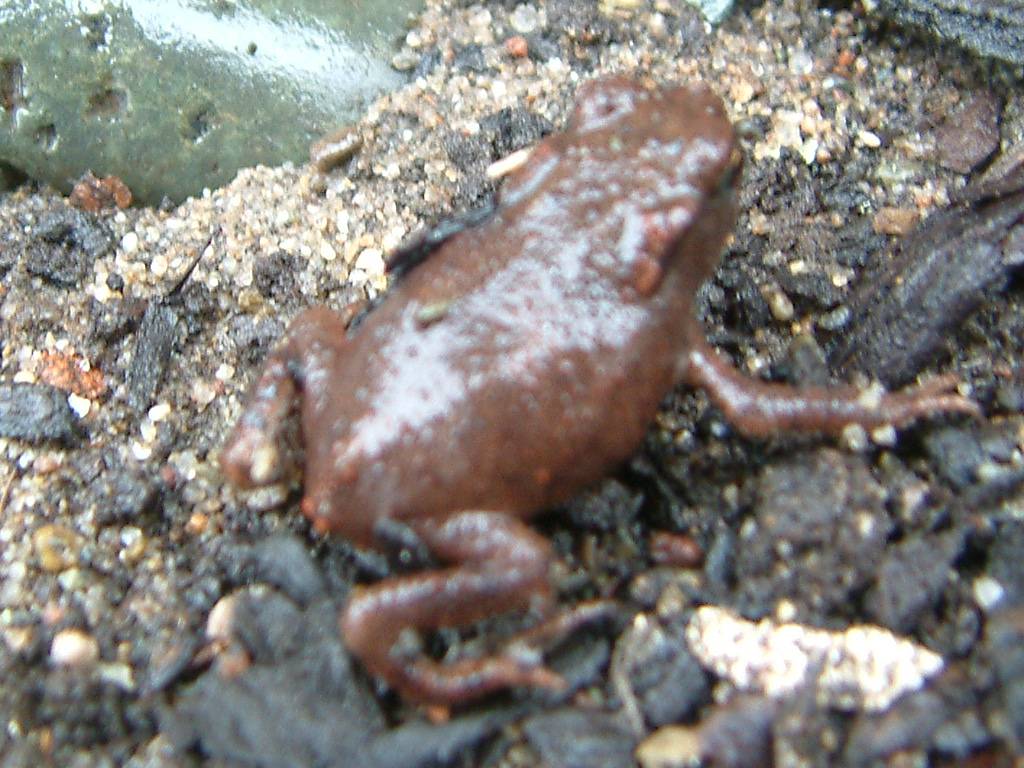 Click now to see this image full size.