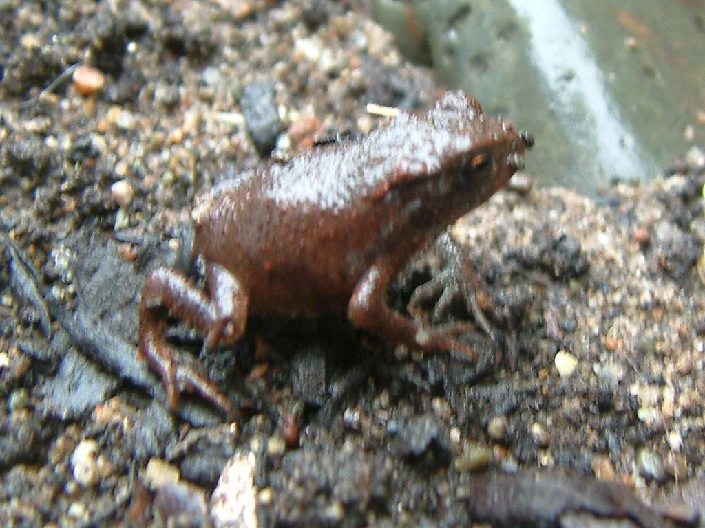 Click now to see this image full size.