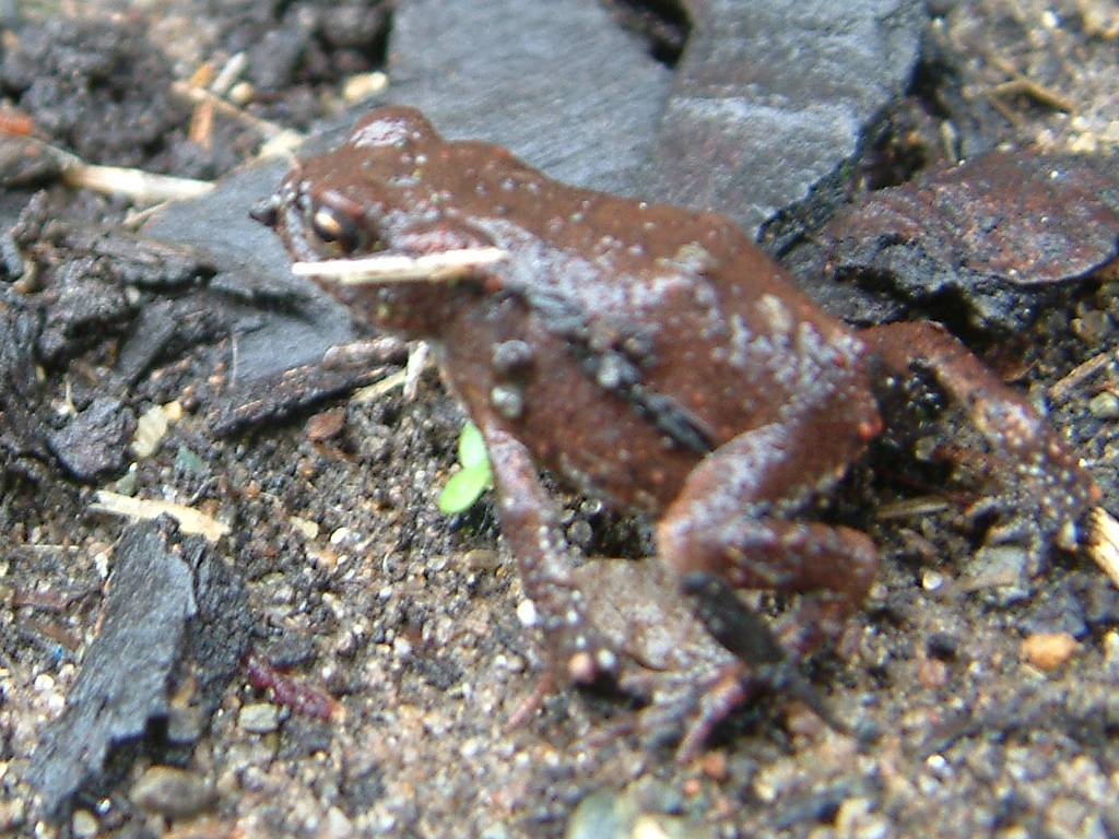 Click now to see this image full size.