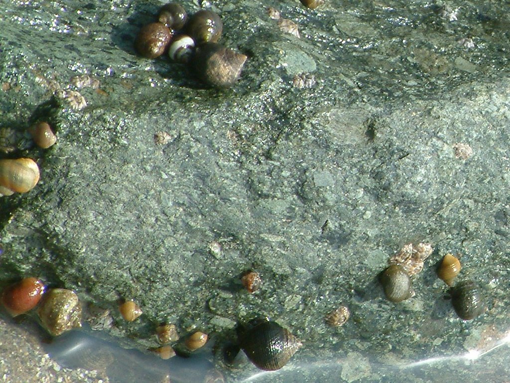 Click now to see this image full size.