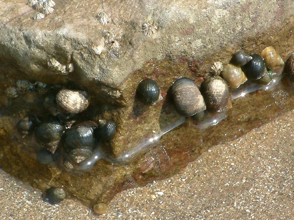 Click now to see this image full size.