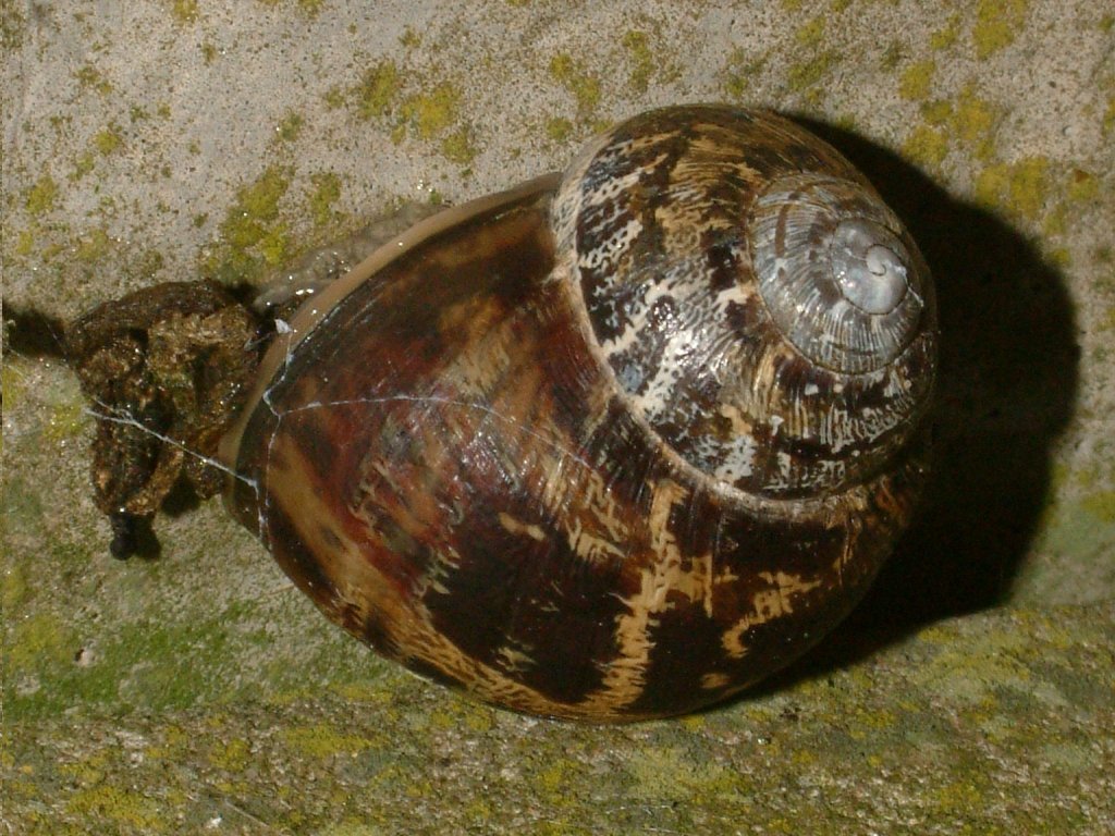 Click now to see this image full size.