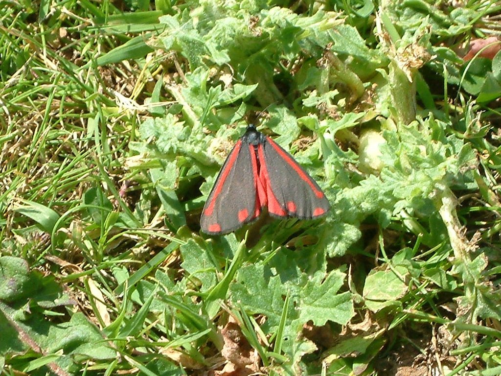 Click now to see this image full size.