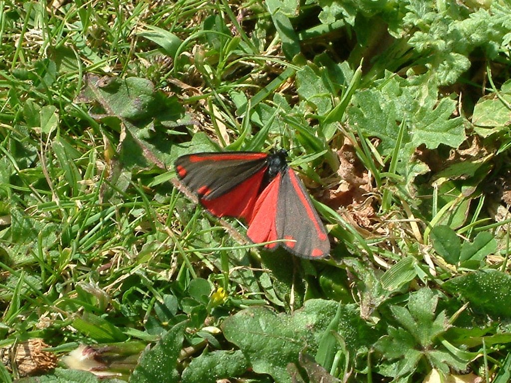 Click now to see this image full size.