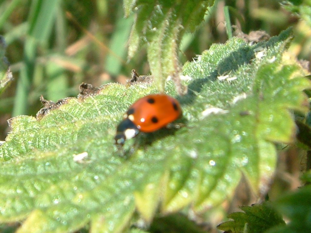 Click now to see this image full size.