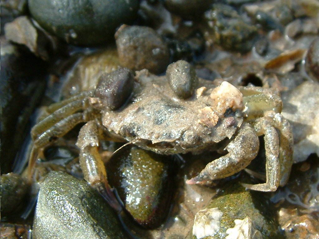 Click now to see this image full size.