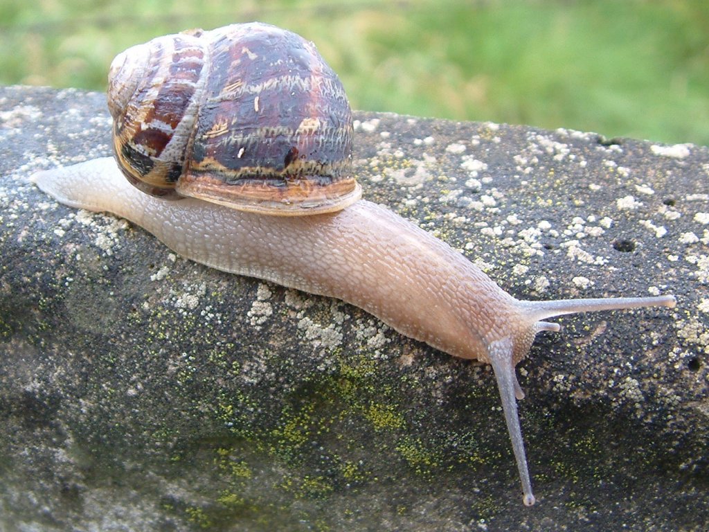 Click now to see this image full size.