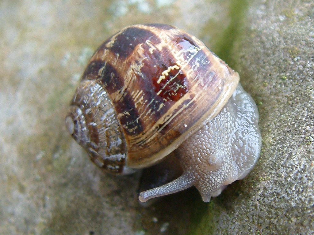 Click now to see this image full size.