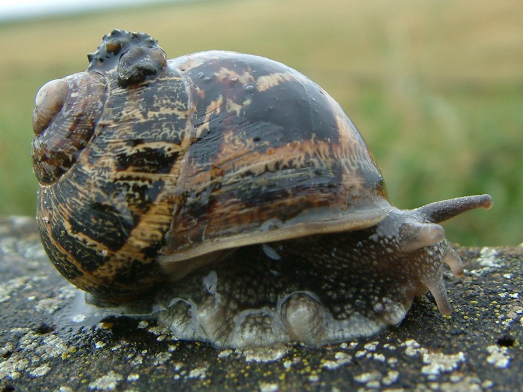 Click now to see this image full size.