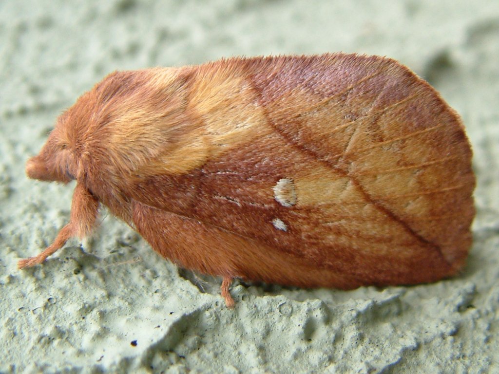 Click now to see this image full size.