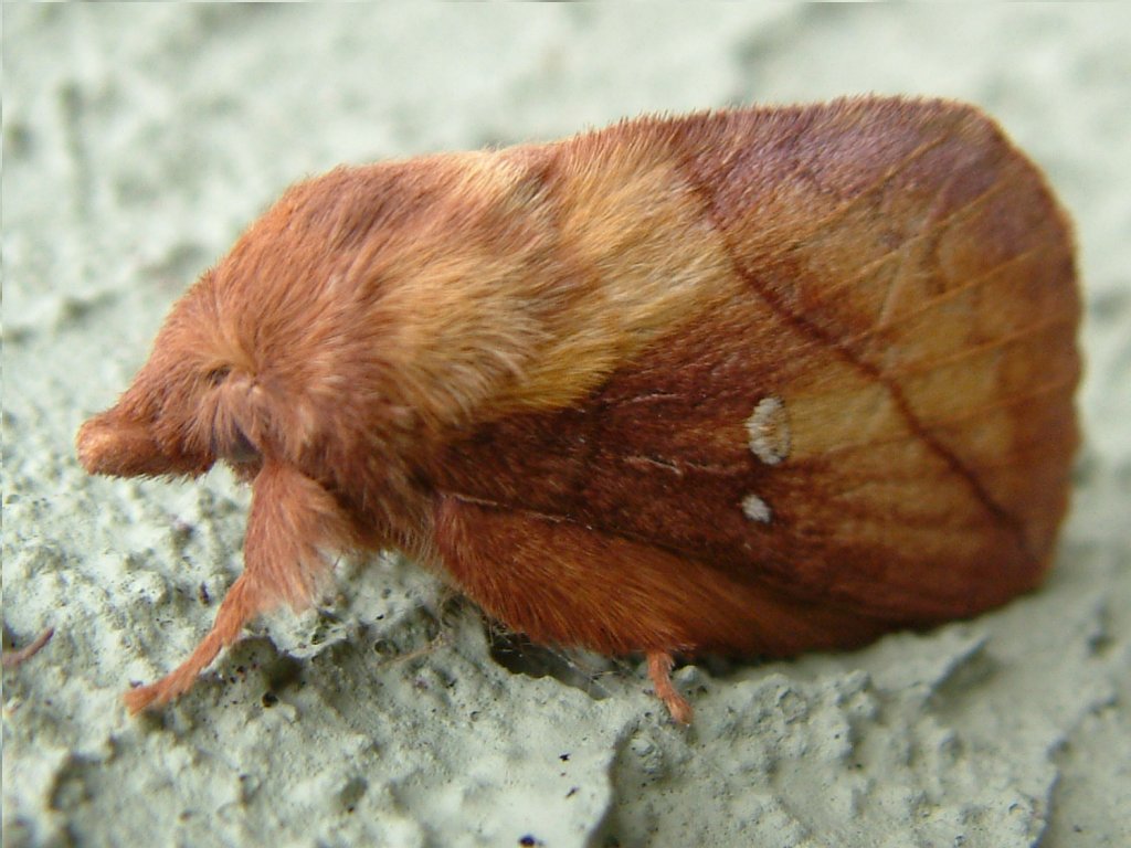 Click now to see this image full size.