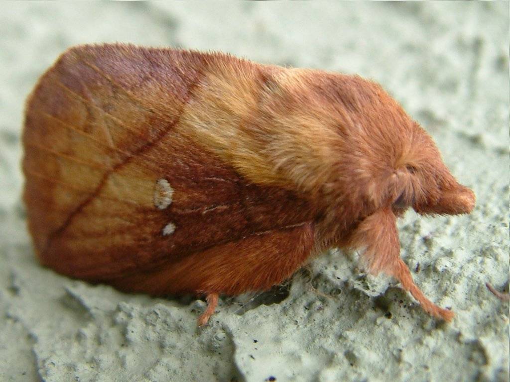 Click now to see this image full size.