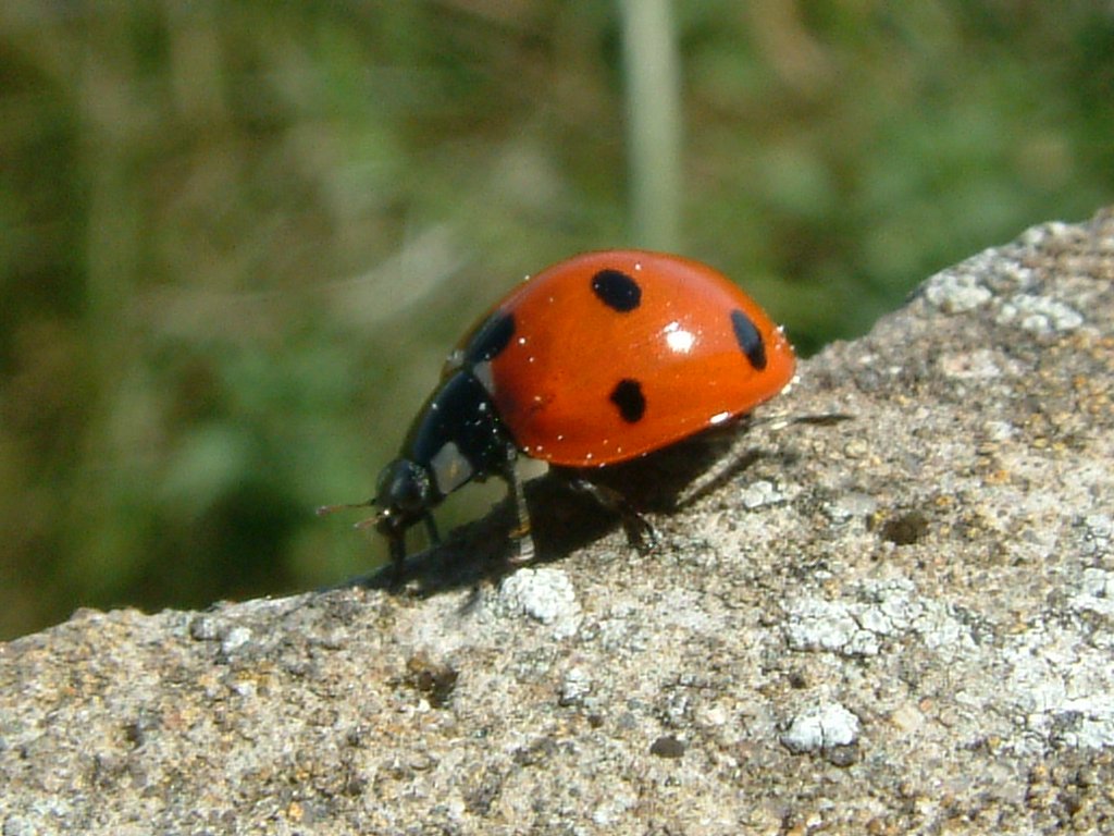 Click now to see this image full size.