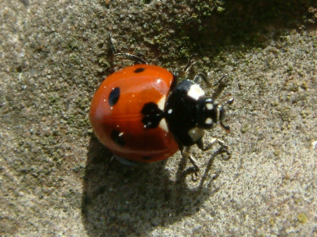 Click now to see this image full size.