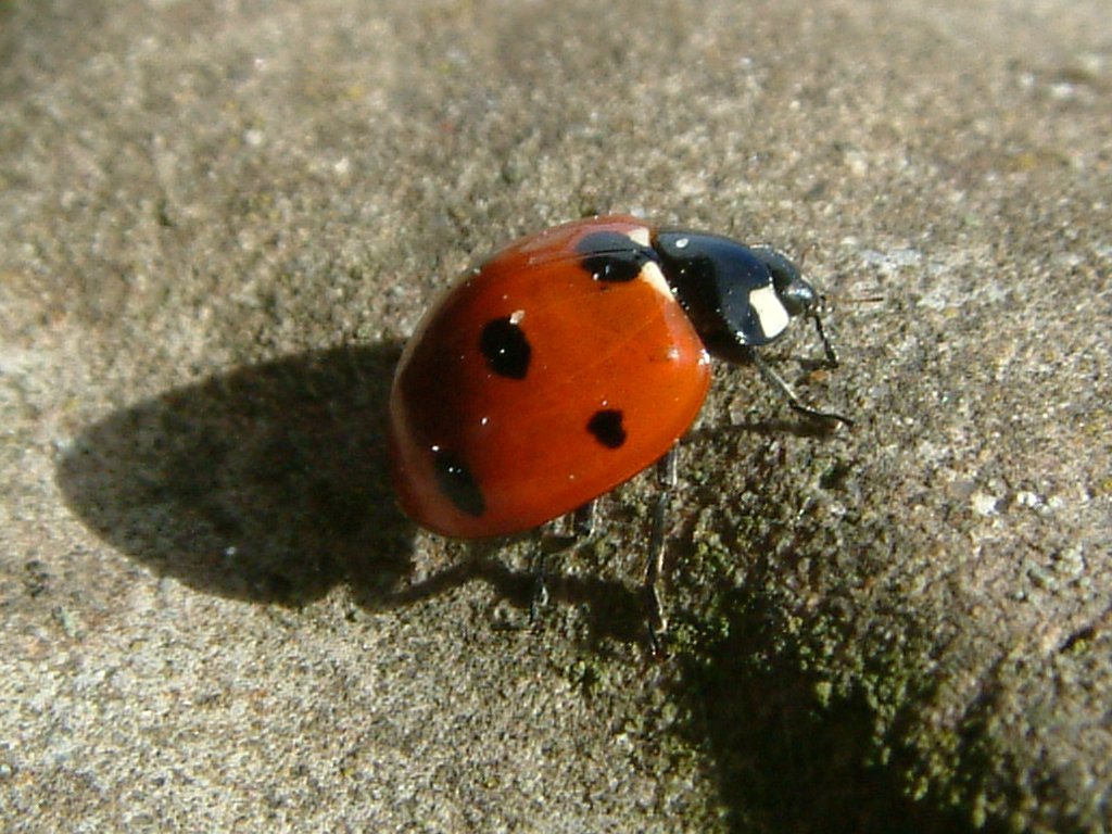 Click now to see this image full size.