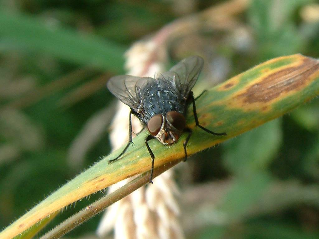 Click now to see this image full size.