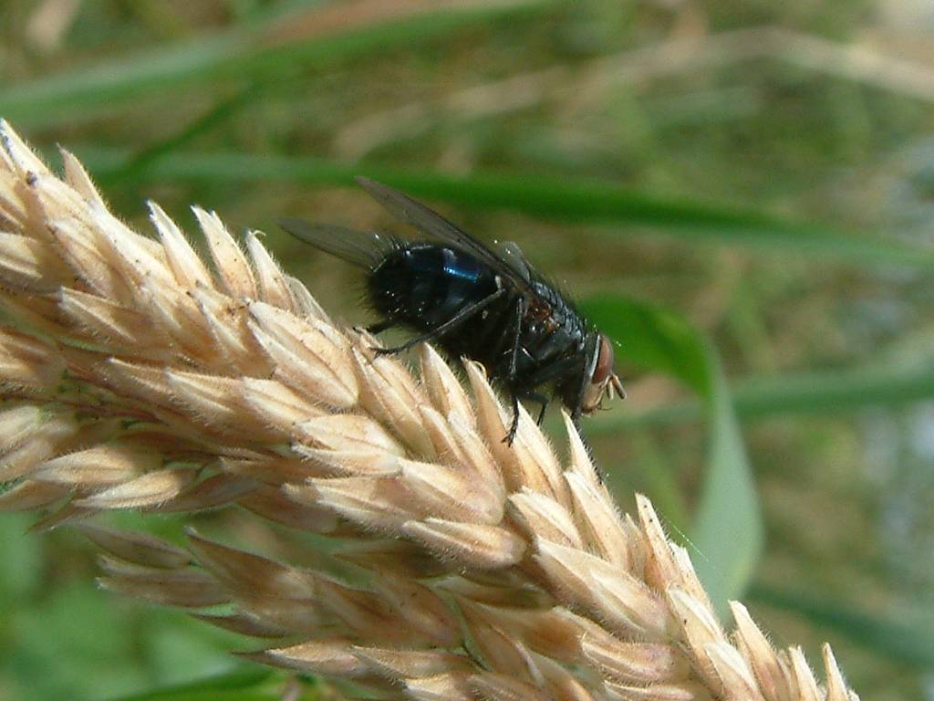 Click now to see this image full size.