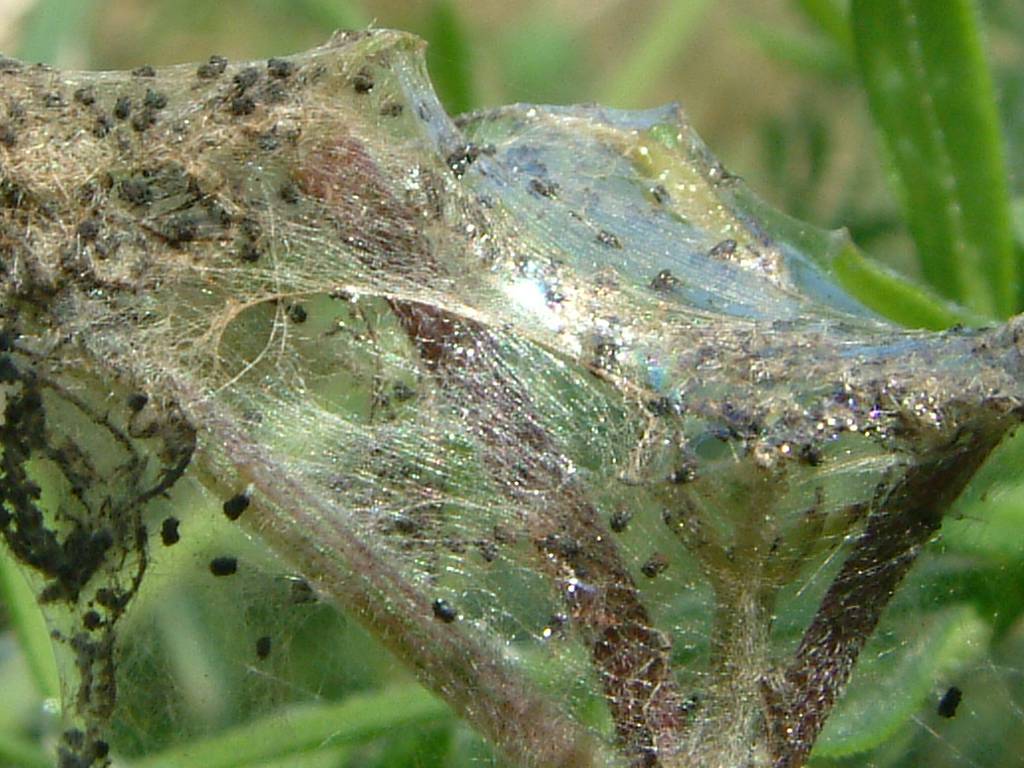 Click now to see this image full size.