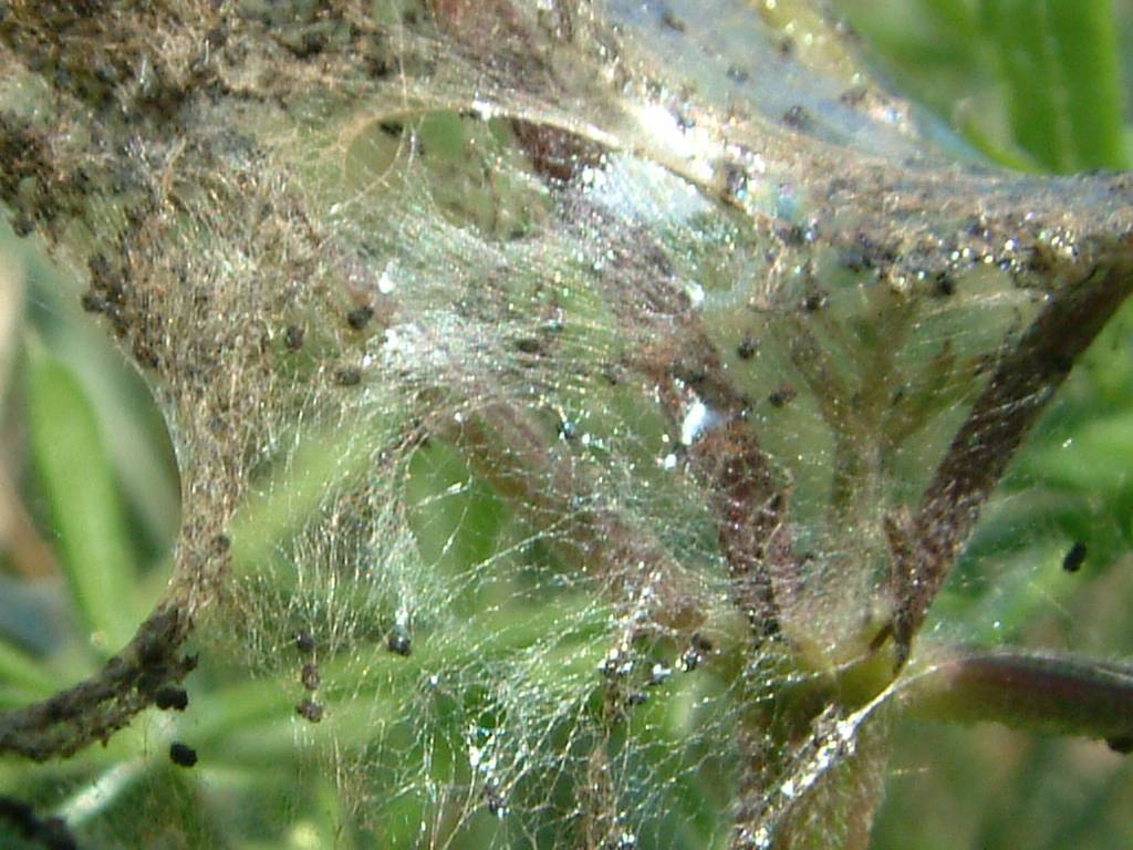 Click now to see this image full size.