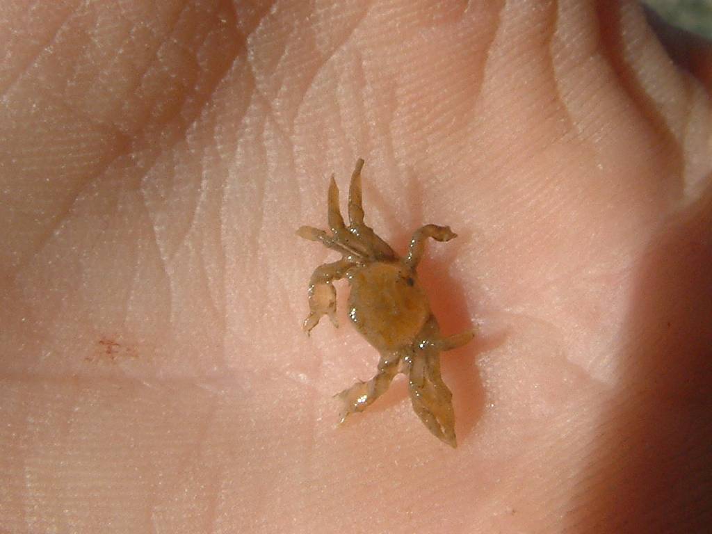 Click now to see this image full size.