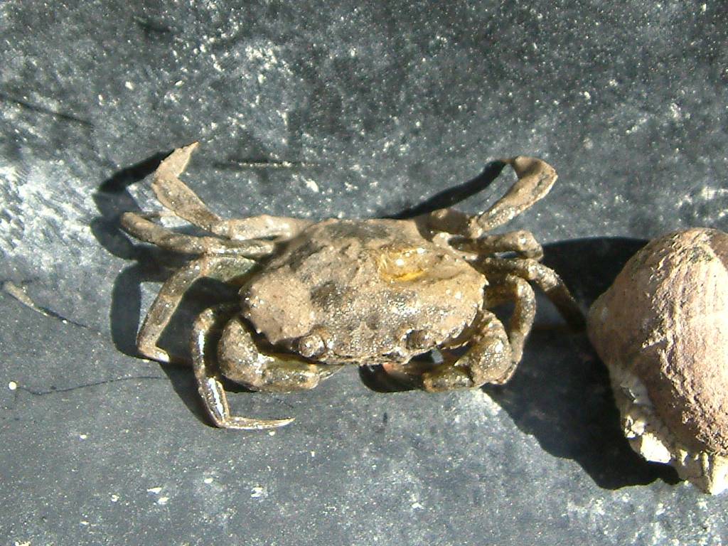 Click now to see this image full size.