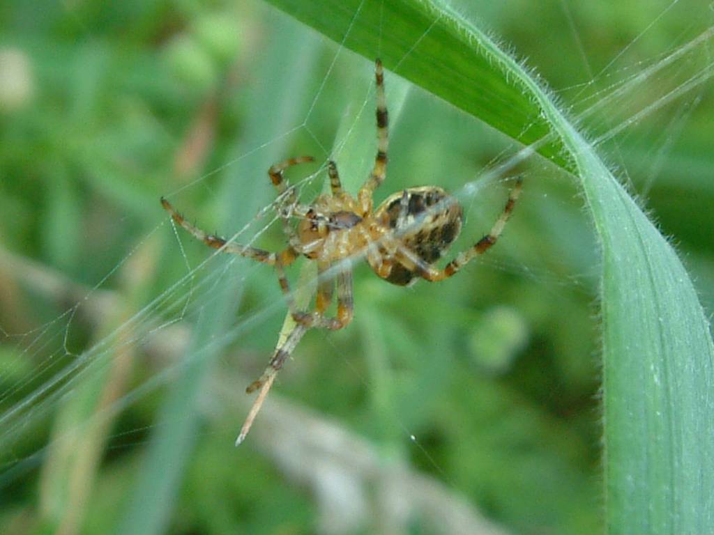 Click now to see this image full size.