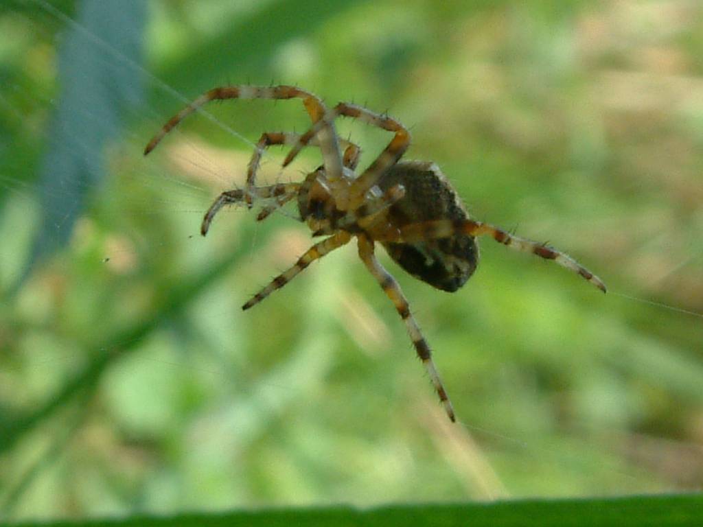 Click now to see this image full size.