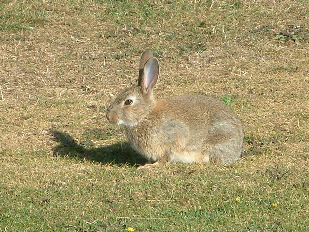 Click now to see this image full size.