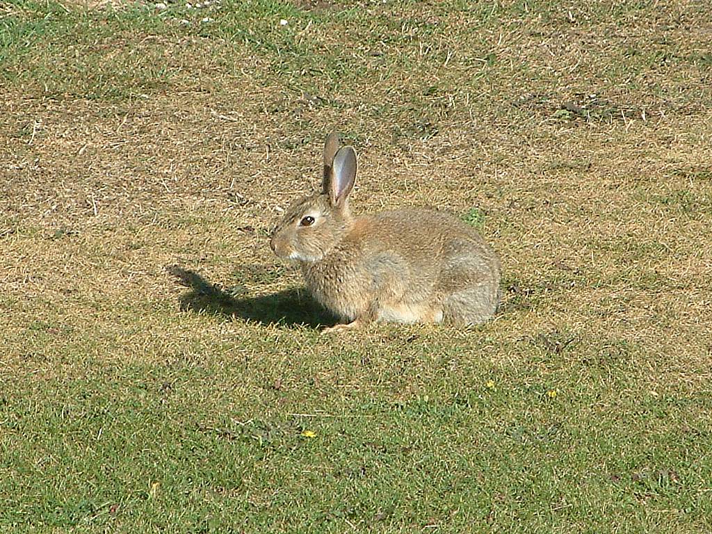 Click now to see this image full size.