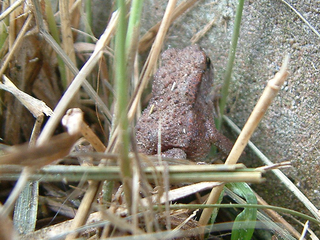 Click now to see this image full size.