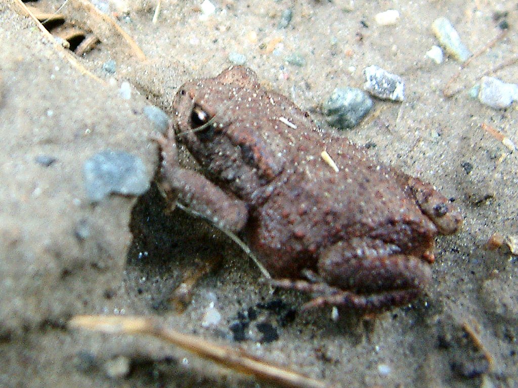 Click now to see this image full size.