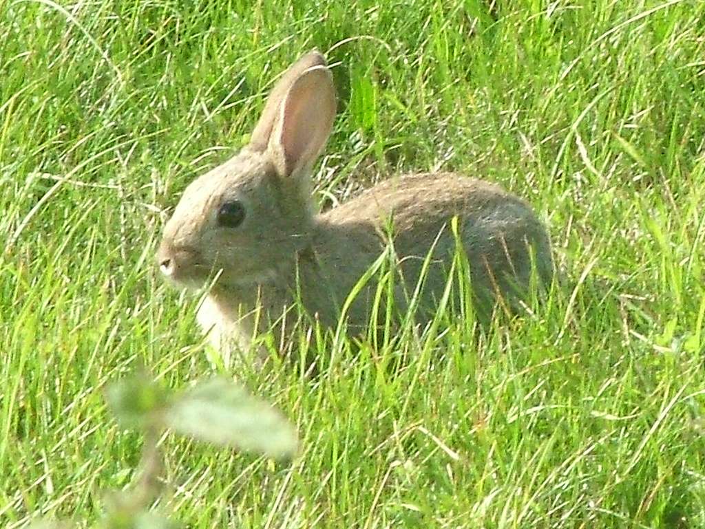 Click now to see this image full size.