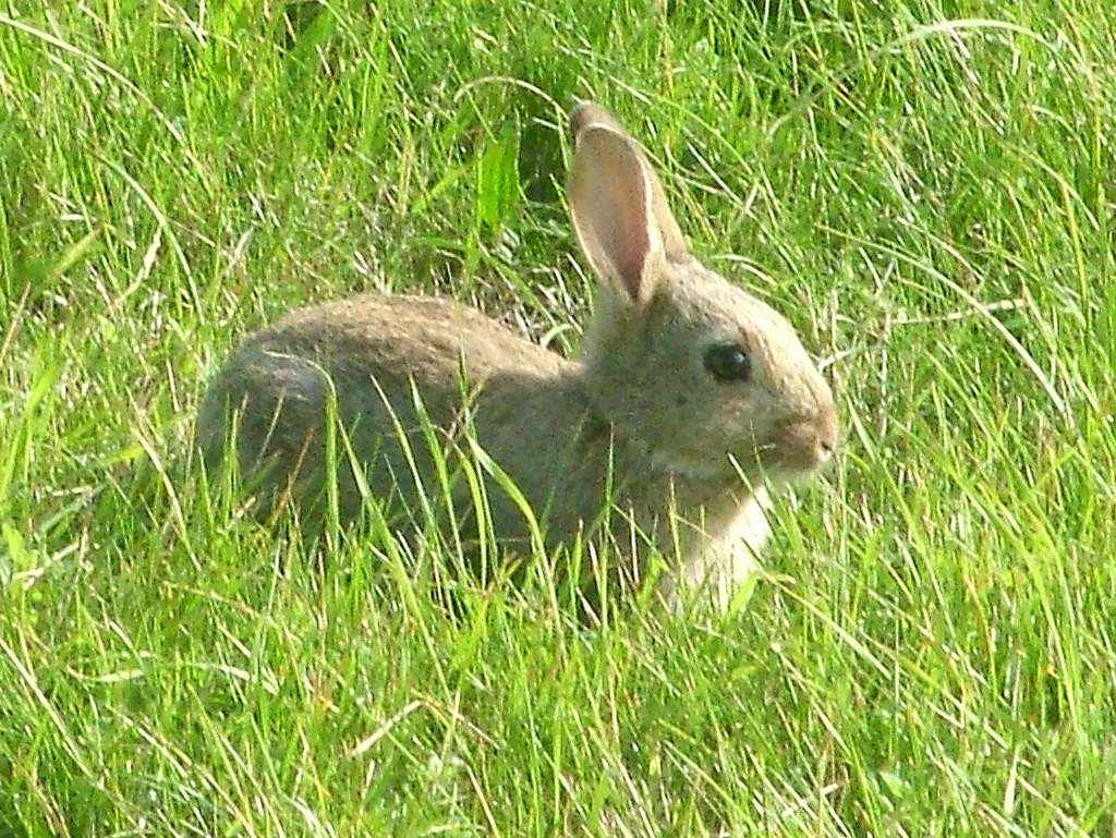 Click now to see this image full size.