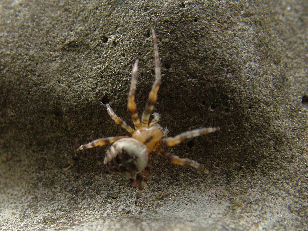 Click now to see this image full size.