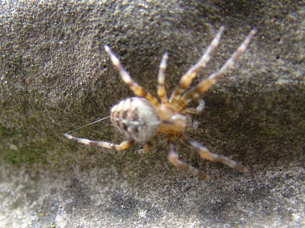 Click now to see this image full size.