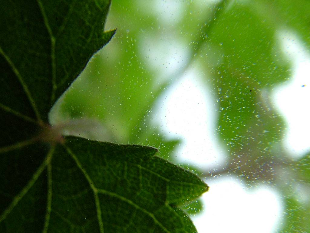 Click now to see this image full size.