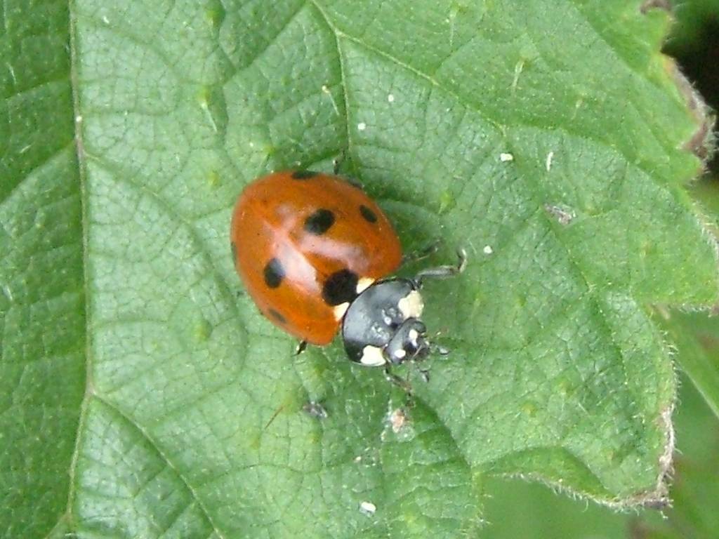 Click now to see this image full size.