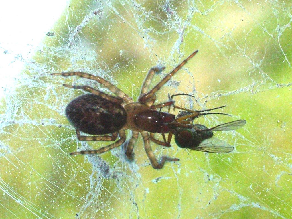 Click now to see this image full size.