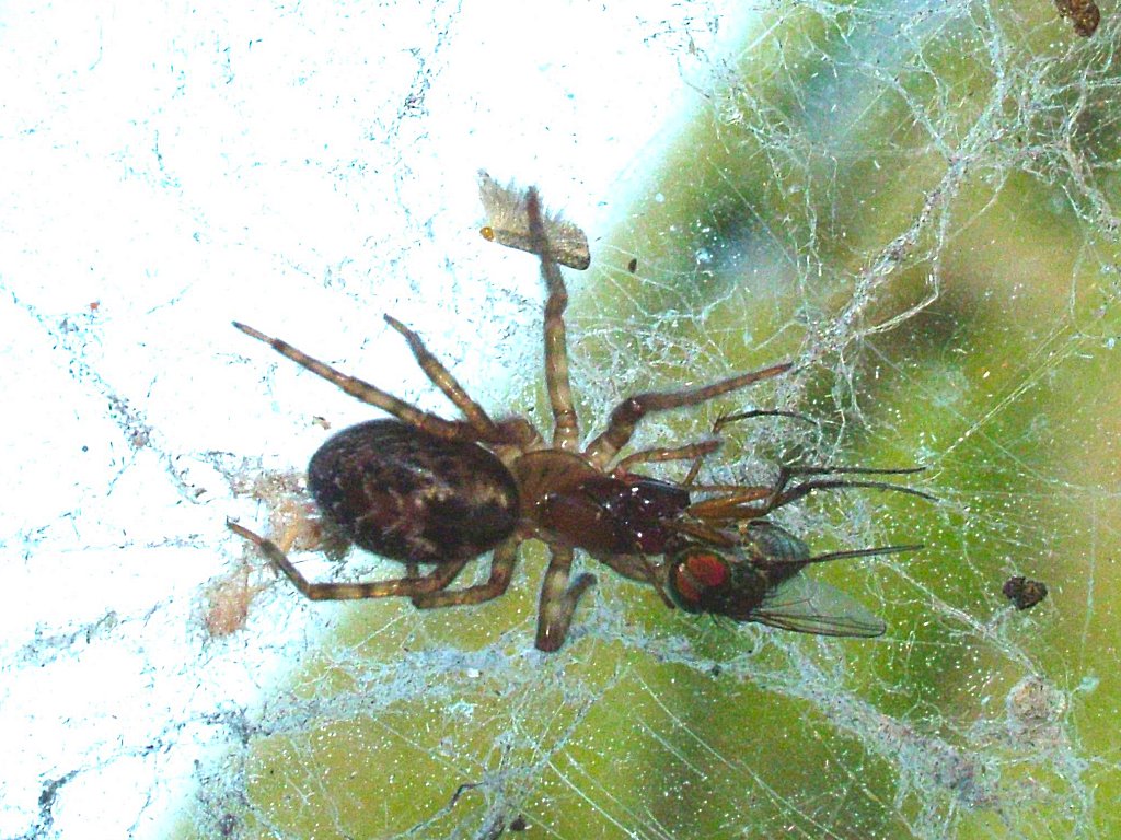 Click now to see this image full size.