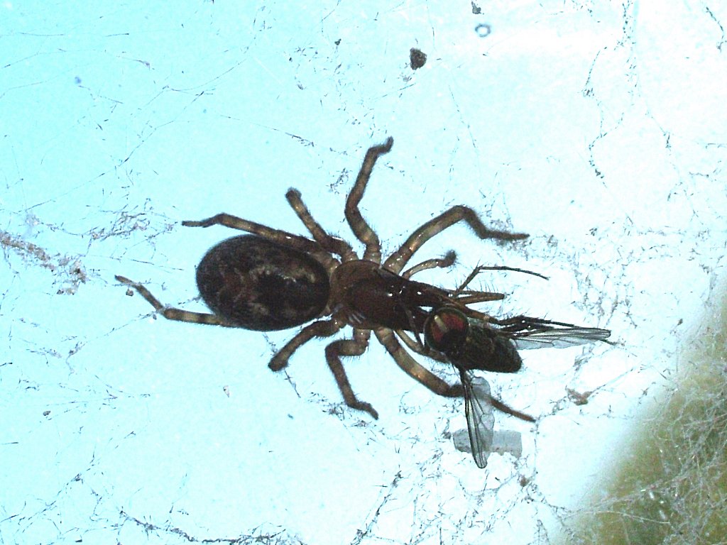 Click now to see this image full size.