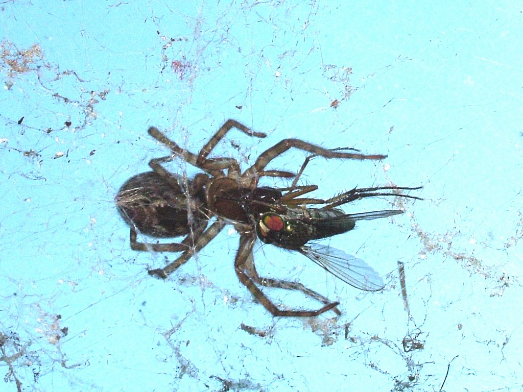 Click now to see this image full size.