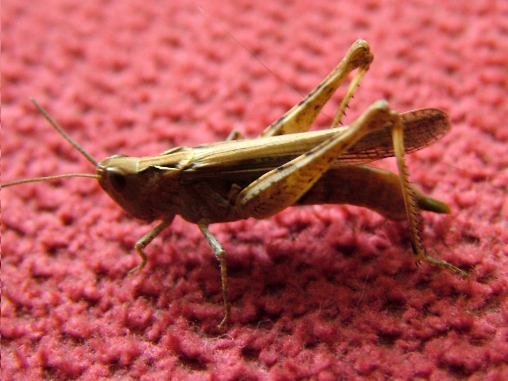 Click now to see this image full size.